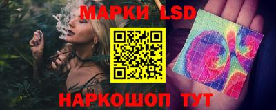 шишки Жуковский
