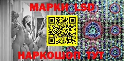 индика Заволжье