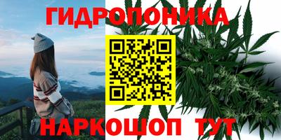 шишки Жуковский