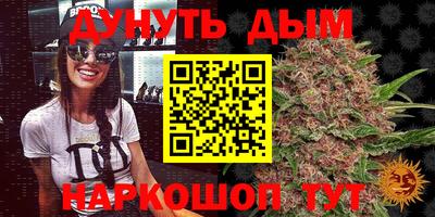 индика Заволжье