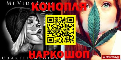 шишки Жуковский