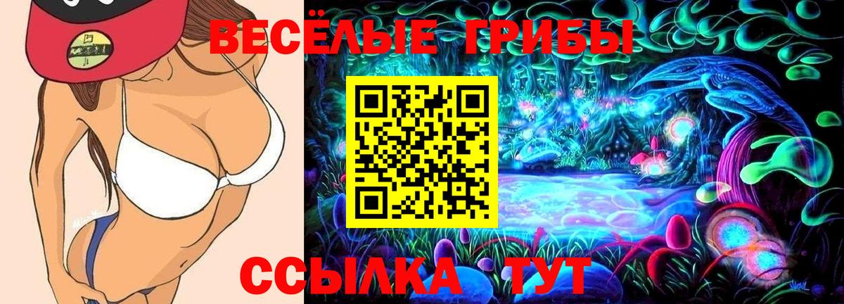 Людиново  закладки  Вход с VPN  Псилоцибиновые грибы Cubensis  Галлюциногенные грибы прущие грибы 